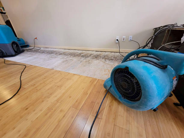 Professional Basement Flood Cleanup technician working in Fruita, CO